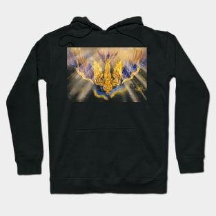 Falcon of Ukrain Hoodie